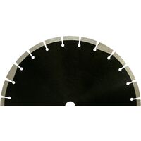 DIAMANTSCHEIBE, BREITES SCHUTZSEGMENT, Ø 300 MM