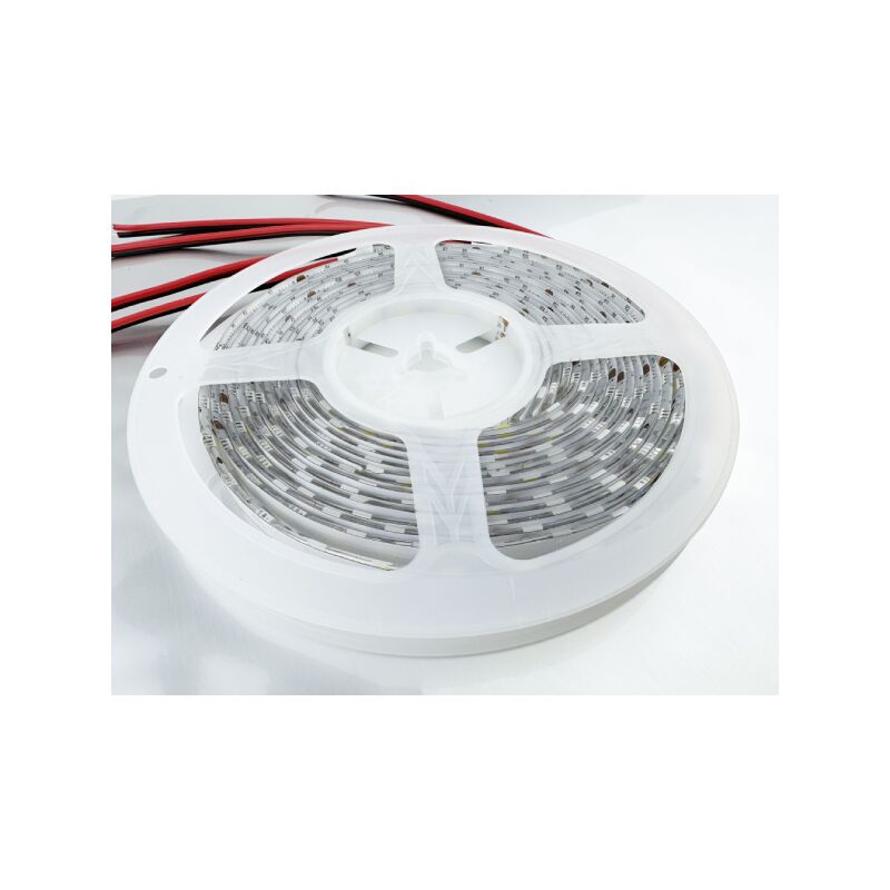 SPINA CONNETTORE RADDIRIZZATORE PER STRIP LED 220V 9.5MM