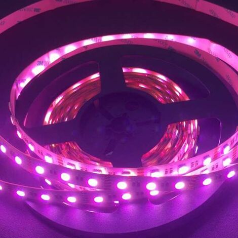 Striscia LED 12V 14.4W UV viola SMD5050 5 metri