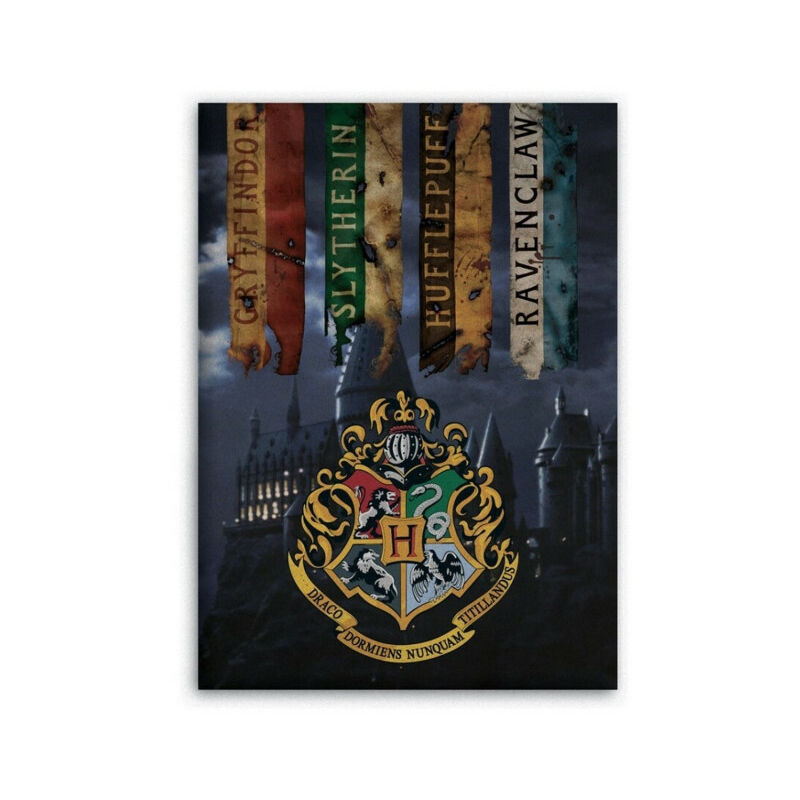 Couverture polaire Harry Potter drapeau Gryffondor • Mille et une couverture