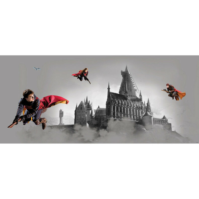 Tapisserie Harry Potter - Impression 3D - Toile de fond murale - Décoration  d'intérieur - Cadeau photo décoratif (couleur : 3, Taille : 200 x 150 cm) :  : Cuisine et Maison