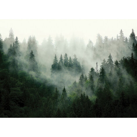 Papier peint Fôret de Sapins et brouillard - 375 x 270 cm (1/3)