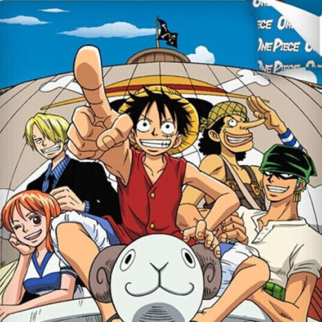 Parure De Lit One Piece Enfant - Housse Couette 140x200 Cm + Taie 63x63 Cm - Motif Luffy équipage - 7