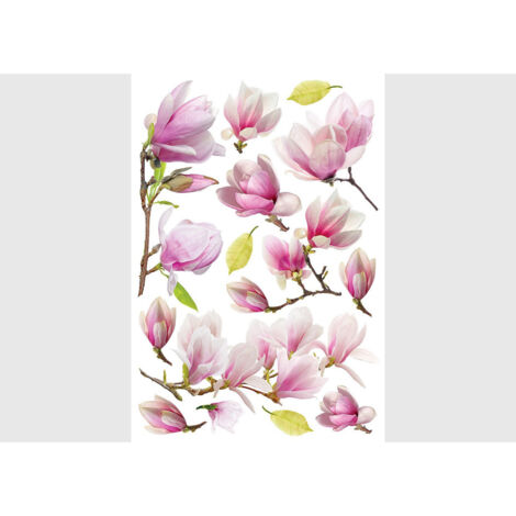 Stickers Fleurs Magnolia avec des Feuilles Vertes - 1 planche 42,5 x 65 cm (1/5)
