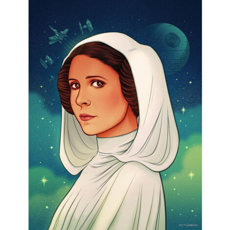 Poster d'Art - Star Wars - Princess of Alderaan - 50 x 40 cm (1/3)