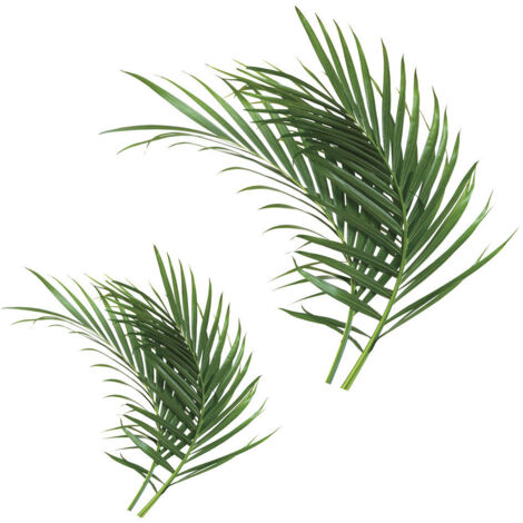 Stickers - Feuilles De Palmier - Hauteur 92.71 cm (1/3)