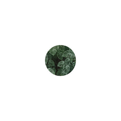 Komar Novel Monstera 125 x 125 cm, Stickers pour les murs D1-023 (1/3)