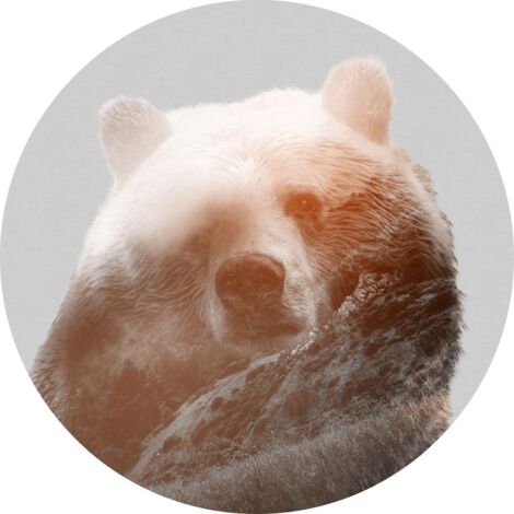 Komar Bearava 125 x 125 cm, Stickers pour les murs D1-015 (1/3)