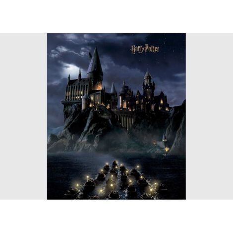 Papier peint Harry Potter Poudlard dans la nuit 225 x 270 cm - 3 lés (1/4)