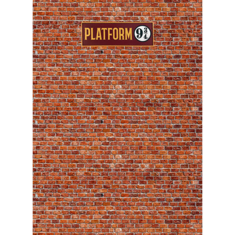 Papier peint Harry Potter – Mur vers le quai 9 3/4 – Dimensions 182 x 252 cm – Blue-back Paper avec colle incluse – Ag Art (1/5)