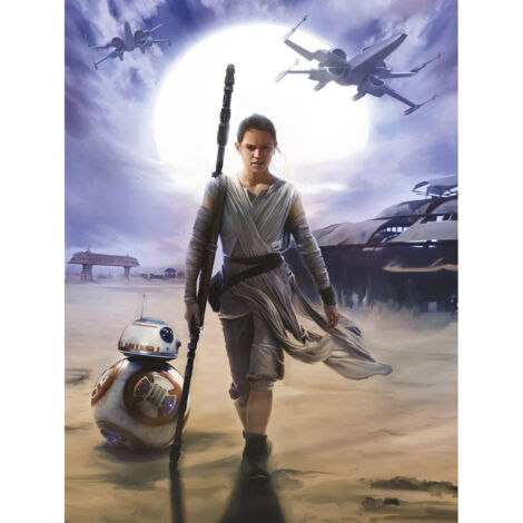 Komar STAR WARS Rey 184 x 254 cm, Papier peint panoramique 4-448, photomurale sur intissé (1/3)