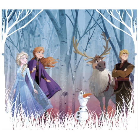 Rideaux - Disney La Reine des Neiges 2 - modèle dessin - 2 pièces 90 cm x 160 cm