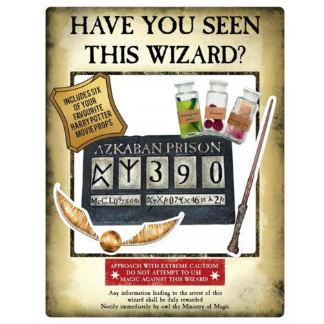 Figurine en carton Cadre à selfie Harry Potter d'Azkaban Hauteur 87 Largeur 70 CM (1/5)