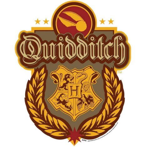 Blason en carton Jeu Quidditch Poudlard Harry Potter 61X50 CM (1/5)