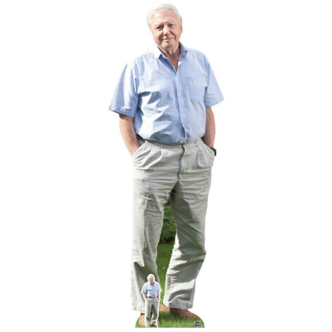 Figurine en carton David Attenborough 178cm (1/4)