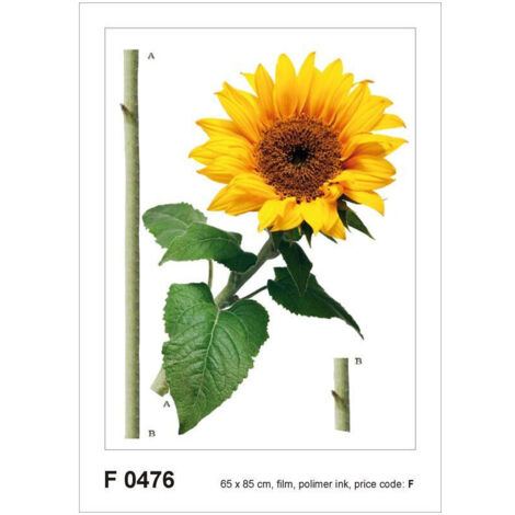 Sticker mural - Tournesol - 65 x 85 cm (1/4)