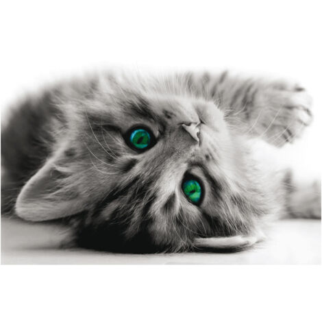 Kitten, photo murale intissée, 155x110 cm, 1 part (1/3)