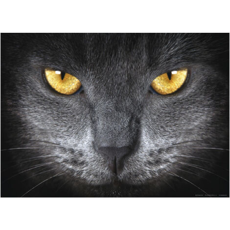Cat's Eyes, photo murale intissée, 155x110 cm, 1 part (1/3)
