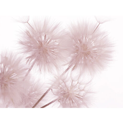 Flowers closeup, photo murale intissée, 360x270 cm, 4 parties (1/3)