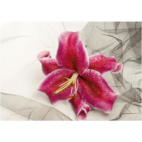 Lily red, photo murale, 360x255 cm, 4 parts (1/2)