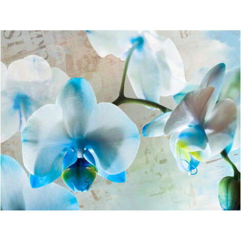 Blues flowers, photo murale, 360x255 cm, 4 parts (1/2)