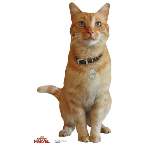 Figurine en carton Goose le chat de Captain Marvel H 40 CM (1/4)