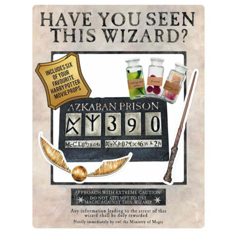 Figurine en carton Cadre à selfie Harry Potter Azkaban - blanc 87x70 CM (1/5)