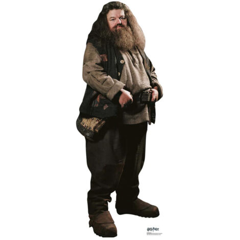 Figurine en carton Rubeus Hagrid en habit ville Harry Potter Hauteur 91 CM (1/5)