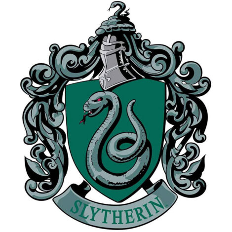 Blason en carton Maison Serpentard Poudlard Harry Potter 61 cm – Largeur 51 cm – Matériau carton de haute qualité – Repositionnable et léger – Star Cutouts