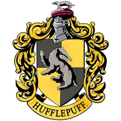 Blason en carton Maison Poufsouffle Poudlard Harry Potter 61X48 CM