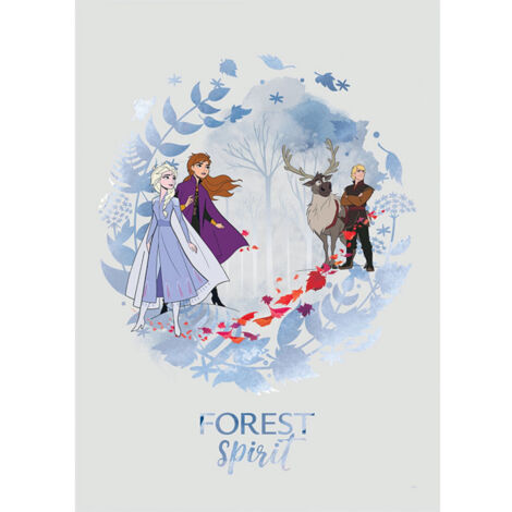 Poster Disney La Reine des Neiges 2 - Esprit de la forêt 30 cm x 40 cm (1/4)