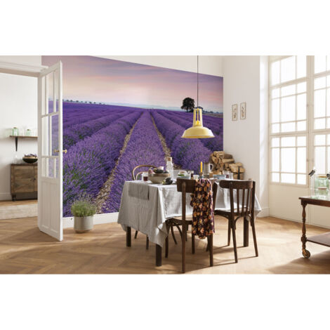 Photo murale - 400 x 260 cm - panoramique intissé - Provence (1/3)