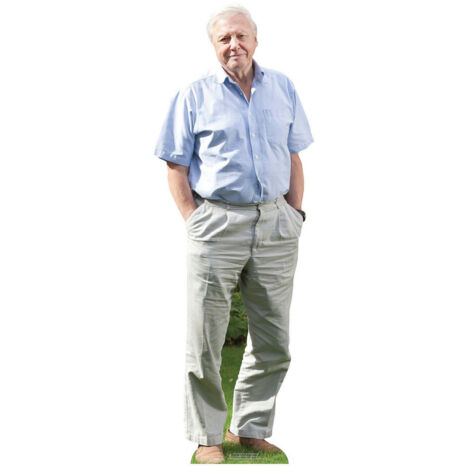 Mini Figurine en carton David Attenborough 90cm (1/5)