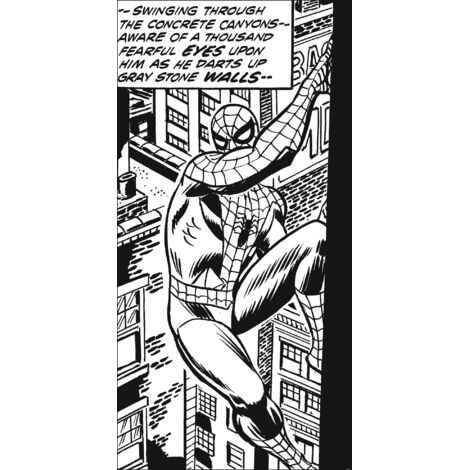 Poster XXL Spider-man Classique qui grimpe l100 x H200 cm (1/4)