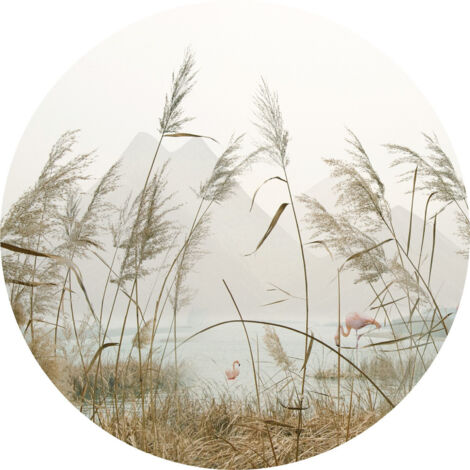 Papier peint intissé auto-adhésif rond  Thème Roseaux - 70 x 70 cm (1/5)
