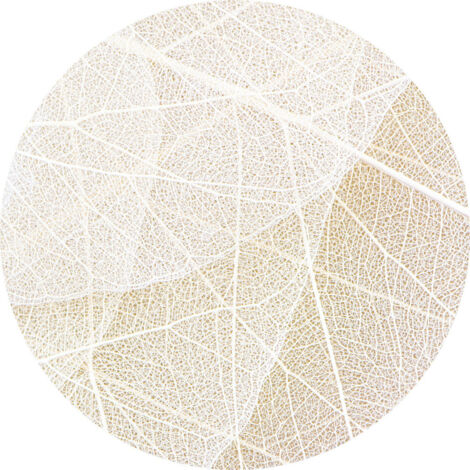 Papier peint intissé auto-adhésif rond Thème Chemins Blancs - 70 x 70 cm (1/5)