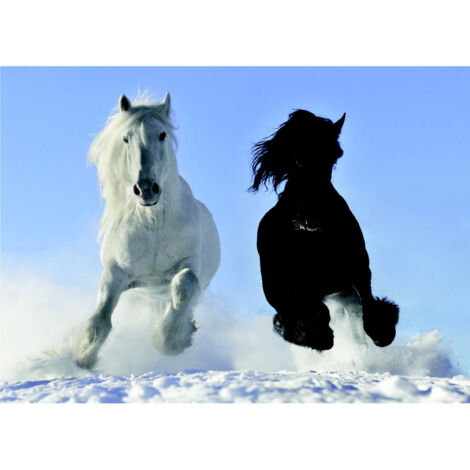 Poster Thème Horses Black And White - 155 x 110 cm (1/3)