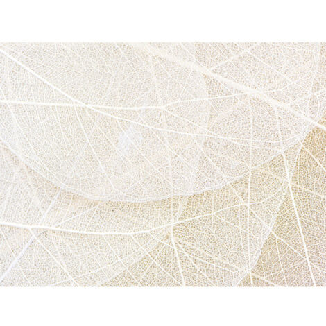 Poster Thème Chemins de Feuilles -Leaf Paths - 360 x 270 cm (1/3)