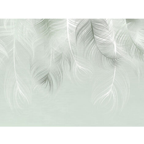 Poster Thème Rêve de Plumes -Feather Dream-- 360 x 270 cm (1/3)