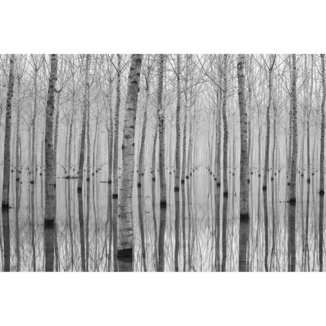 Poster Thème Birch Reflection - 360 x 270 cm (1/3)