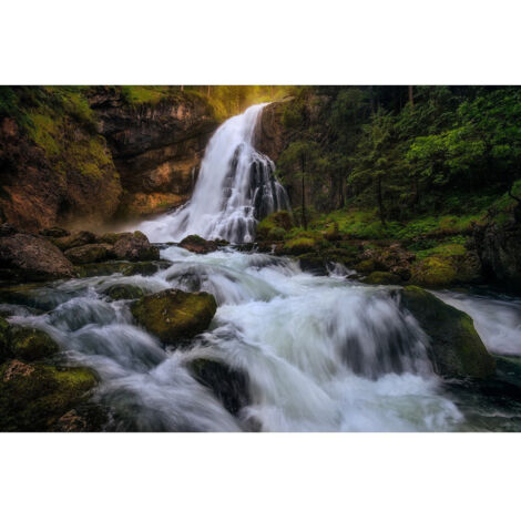 Poster Thème Nature Rush - 360 x 270 cm (1/3)