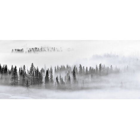 Poster Thème Foggy Morning - 360 x 270 cm (1/3)