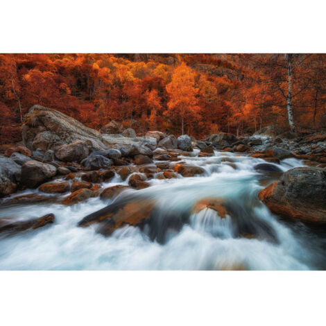 Poster Thème Autumn Rush - 360 x 270 cm (1/3)