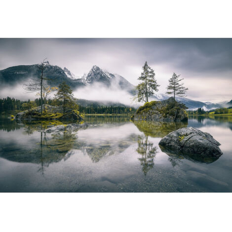 Poster Thème Forest Lake - 360 x 270 cm (1/3)