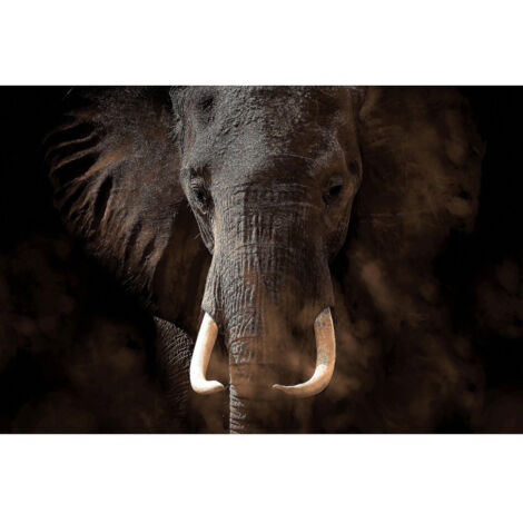 Poster Thème Elephant - 360 x 270 cm (1/3)