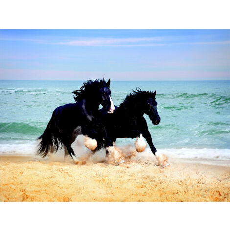 Poster Thème Chevaux - 360 x 270 cm (1/3)