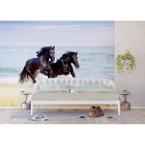 Poster Thème chevaux noirs galopant sur la plage- 360 x 254 cm (1/3)