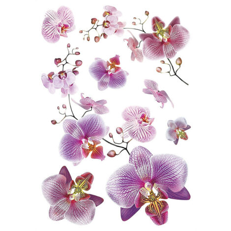 Sticker Orchidées roses et fushia - 1 planche 42,5 x 65 cm (1/5)
