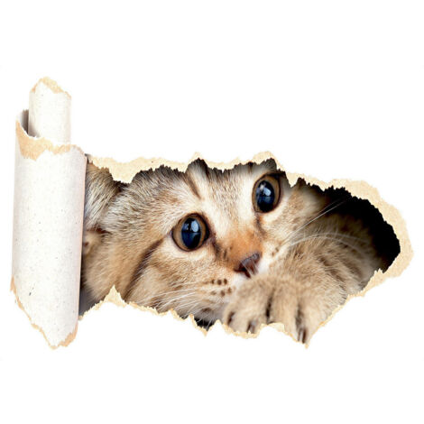 Sticker Chaton - 1 planche 42,5 x 65 cm (1/5)