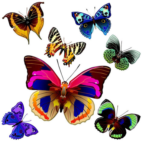 Sticker Papillons multicolore - 1 planche 30 x 30 cm (1/5)